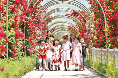 [Visit Seoul] Seoul’s 140 Spring Flower Paths