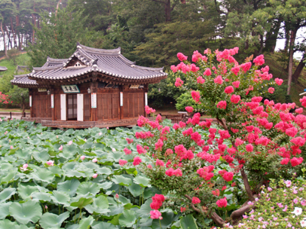 강릉선교장04