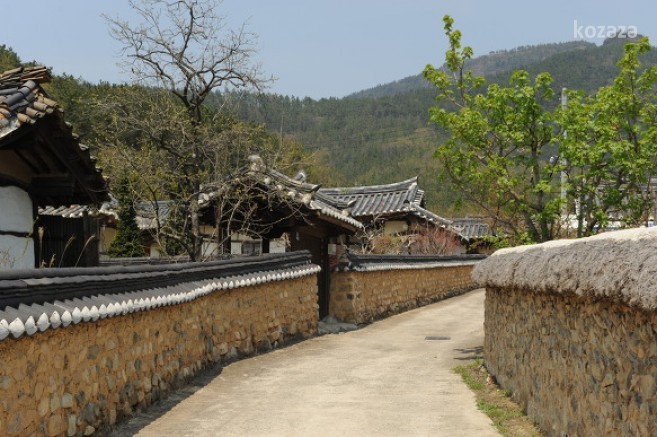 대구 옻골한옥마을 경주최씨집성촌 돌담